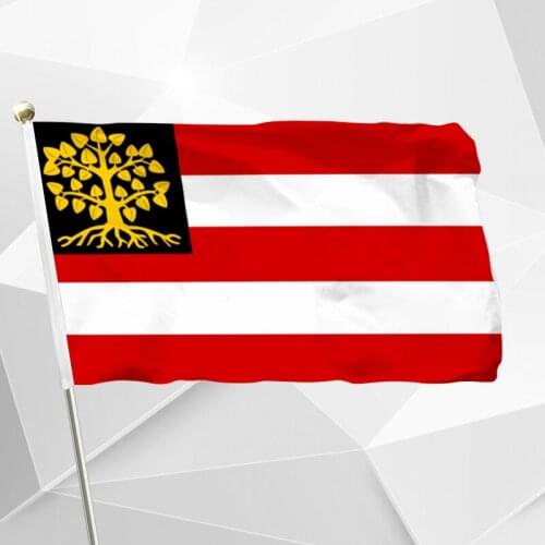 Netherlands s-Hertogenbosch Flag 150X90cm (3x5FT) 120g 100D Polyester Double Stitched High Quality Banner Free Shipping