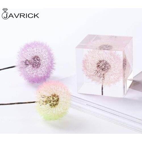 2 Pcs Crystal Epoxy Filler Dandelion Dry Flower Resin Mold Filling Material for DIY Crafts Art Jewelry Making Supplies