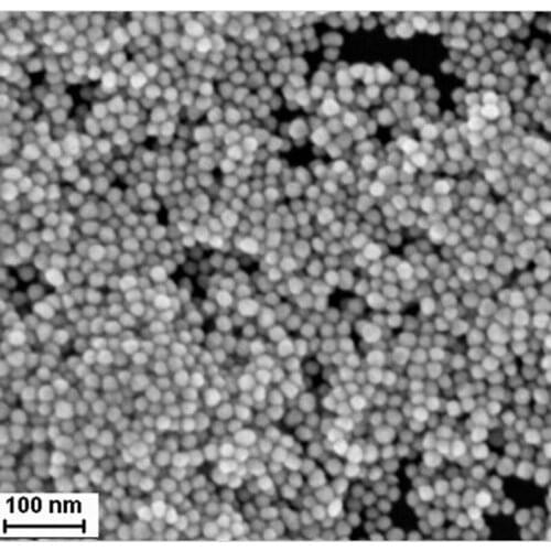 PEG modified Au Nanoparicles 60nm