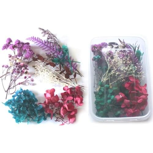 1 Box Real Mix Dried Flowers for Resin Jewellery Dry Plants Pressed Flower 63HE