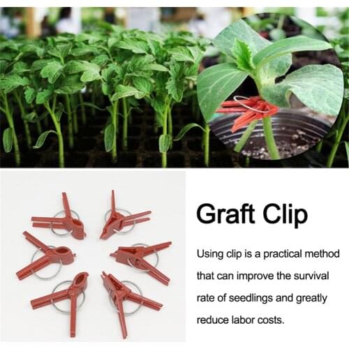 50PCS Plants Graft Clips Plastic Garden Tools for Cucumber Eggplant Watermelon