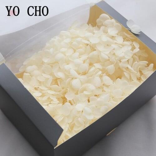YO CHO 20g/lot Natural Fresh Preserved Flowers Dried Hydrangea Flowers Head For DIY Real Eternal Life Hydrangea Flowers Material