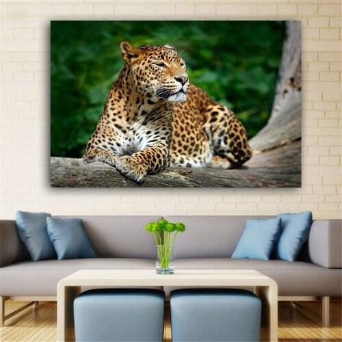 RELIABLI ART Paintings On The Wall Leopard Posters And Prints Animal Wall Art Cuadros Canvas Painting For Living Room No Frame