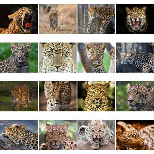 Diy Diamond Painting Wild Leopard National Protected Animals Personality Unique Mural Painting Living Room Bedroom Painting