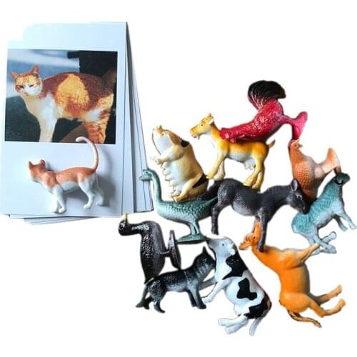 Kids Animals Toys with Cards Matching Game Baby Sensory Learning Plastic Animal Educational Toys for Children