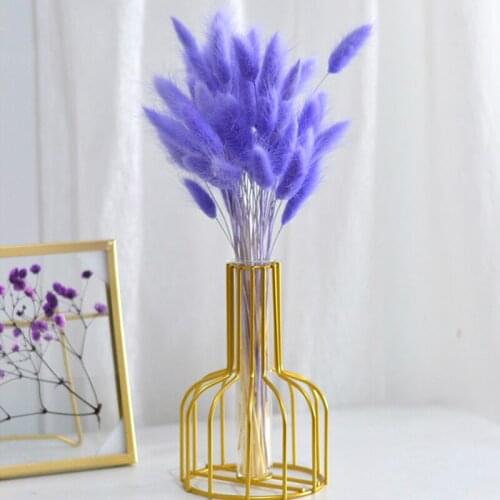 Lagurus Ovatus Natural Dried Flowers Colorful Wedding Home Easter Christmas Decorations Rabbit Tail Grass Real Plants Wheat