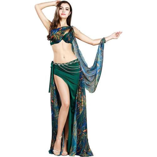 2019 New Sexy Luxury Women Bellydance Suit Oriental Suit Show Stage Belly Dance Wear Bra+skirt+Belt +armbands 4pcs set