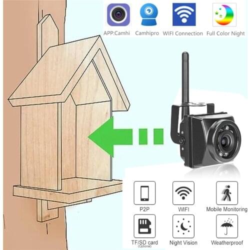 Mini IR Camera Motion Detection Night Vision Wifi Outdoor Cctv Onvif P2p Wireless Cam In BirdS Nest And Cage House Camhi App