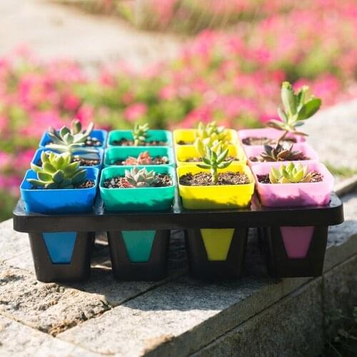 Germination Nursery Pots Plastic Insert Seedling Tray Propagation Succulents Pot Hydroponic Flower Pot Garden Bonsai Planter