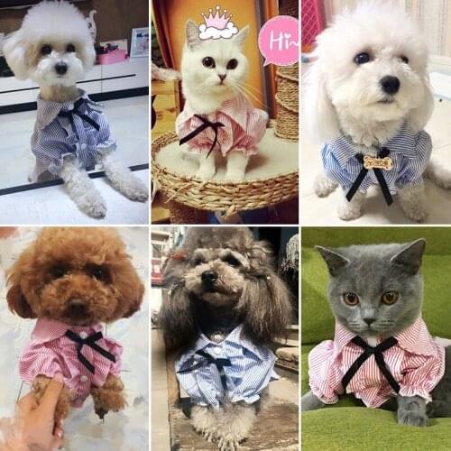 Pet Dog Cat Spring and Summer Thin Shirt Teddy Hiromi Bichon Small Dog Cute Shirt Skirt Volume_up Content_copy Share