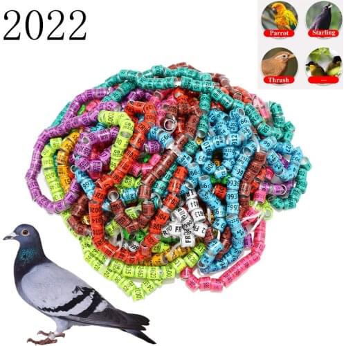 500Pcs Number 2022 Aluminum Plastic Material Pigeon Foot Ring Bird Ring Messenger Pigeon Leg Signage Carry Identification Circle