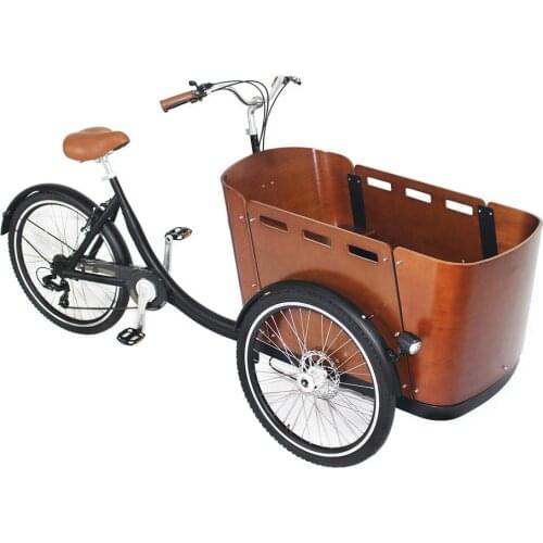 3 Wheels Cargo Bike Trike Electric Adult Tricycle Family Kids Scooter Bicycle Food Cart for Sale