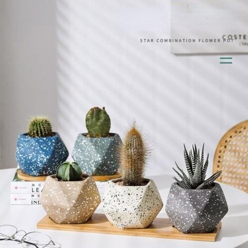 Ceramic Water Transfer Succulent Flower Pot with Bamboo Tray Creative Nordic Gardening Succulent Green Plant Pot