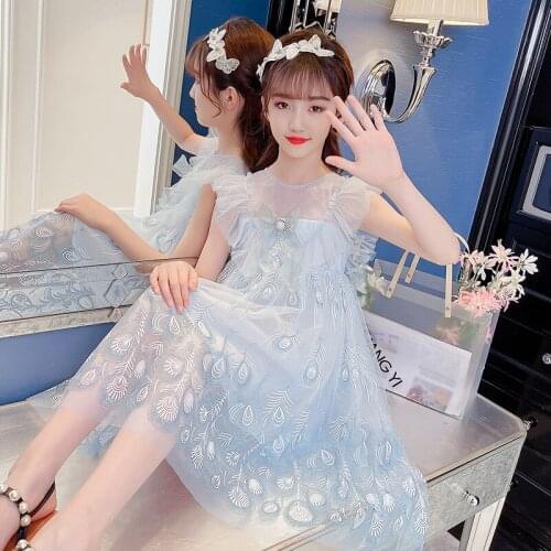 Girls' dress baby cute princess full of feathers embroidered lace gauze skirt in summer new style