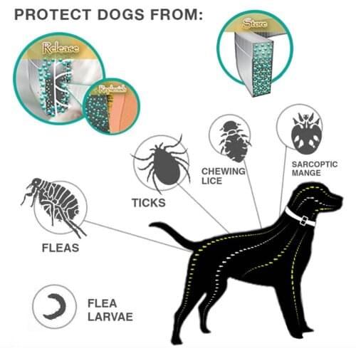 Dog Collar Eliminating Flea and Tick Prevention Repellent Collar for Pet Dog Natural Pest Removing Oil Flea Repellent Collar