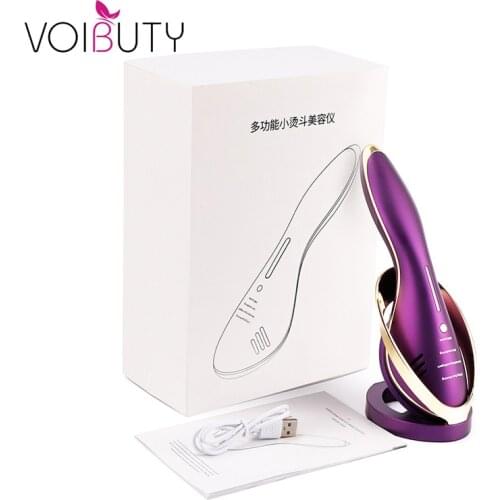 EMS Ice Heating Wrinkle Removal Skin Iron Facial Lifting Device Face Neck Body Massager Chin V-line Up Skin Tighten Machine