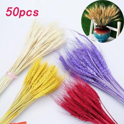Real Wheat Ear Flower Decoration Natural Pampas Rabbit Tail Grass Dried Flowers For Wedding Party DIY Craft Scrapbook Bouquet