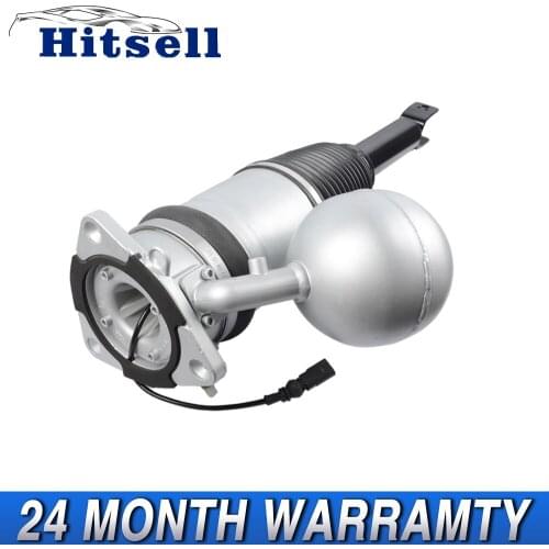 For VW Phaeton Bentley Continental 3D V10 Air Spring Shock absorber Air suspension rear 3D0616001K 3D0616001J Strut