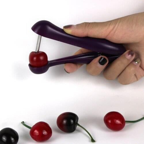 Portable Aluminum/Plastic Remove Pit Tool Kitchen Supplies Purple for Cherry Olive Core Multi Purpose Fruit Corer Pitter Remover