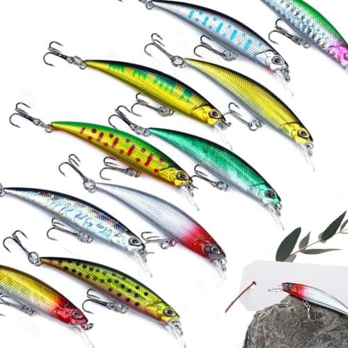 ["None"," "] Fishing Bait
