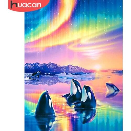 HUACAN Full Diamond Mosaic Animal 5D DIY Diamond Painting Dolphin Embroidery Kit Polar Lights Home Decor