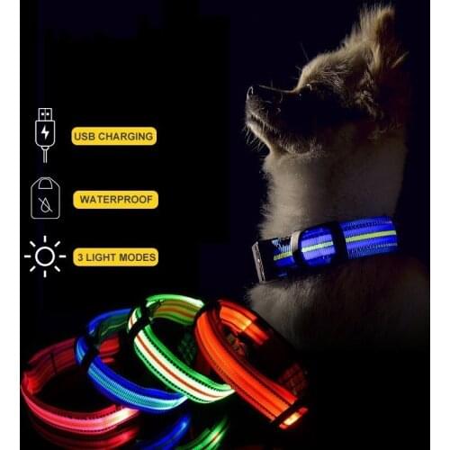 3 Light Modes Comfortable USB Rechargeable Glowing Led Dog Collar Durable Waterproof Pet Luminous Small Big Pet Dog Collars