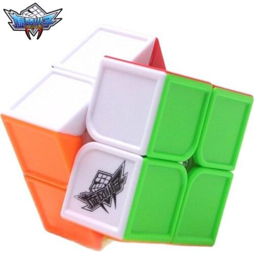 Original Cyclone Boys FeiHu 2x2x2 Sculpture Magic Cube Puzzle Professional Challenge 2x2 Speed Cubo Magico Educational Kid Toys