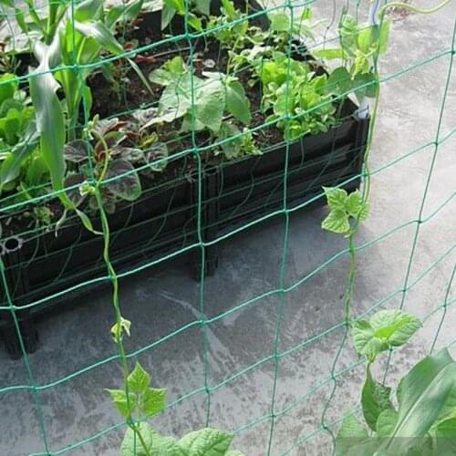 1pc 180*270cm Nylon Climbing Net Garden Netting Morning Glory Flower Vine Cucumber Plants Landing Net Grow Supports