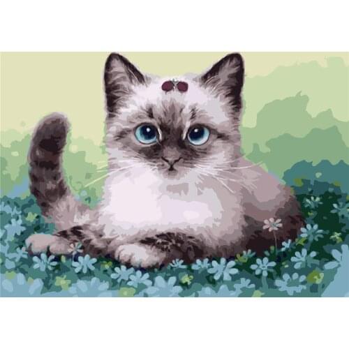 Erythromycin Love Paint By Numbers Kits For Adult Diy Canvas Painting For Adults Beginner No Frame Picture Color By Numbers