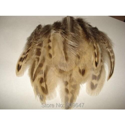 500PCS/LOT!2-4inches Tan Hen Ringneck Pheasant Body Feather Plumage,Loose Small Feathers for Crafts,Jewelry Making etc