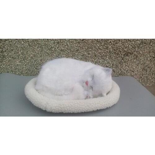 Cute simulation sleeping cat polyethylene & fur white cat model gift about 27x27x8cm170