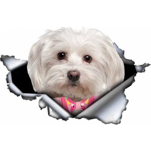 S50066# 13/15/17CM Personality PVC Decal Maltese Dog V1 Waterproof Car Sticker on Motorcycle Laptop Decorative Accessories