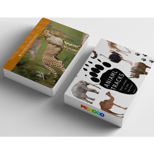 Montessori Flash Cards For Kids Learning Cards African Animal Footprint Cards Educational Learning Toys For Children MH0144H