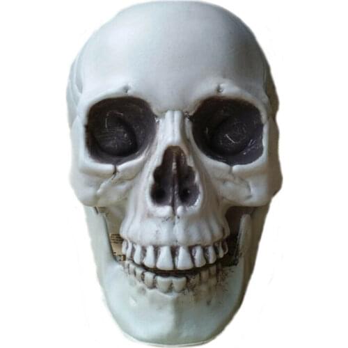 All Size Horror Human Skull Head Skeleton Halloween Style Prop Home Party Decor