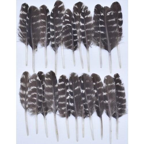 10Pcs Natural Feathers Crafts Decoration Pheasant Feather Turkey Small Eathers Needlework Decor Carnival Accessories Plumes DIY