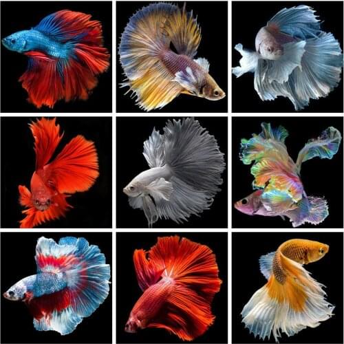 Huacan 5D DIY Diamond Painting Fish Art Kits Diamond Mosaic Sale Animal Pictures Of Rhinestones New Arrival