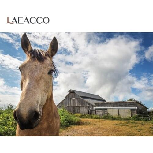 Laeacco Rural Farm Wooden Stable Grassland Horse Blue Sky Outdoor Scenic Photo Background Photographic Backdrop Photo Studio