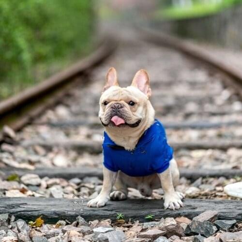 Dog Clothes Spring Pets Dogs Clothing For Small Medium Dogs Costume Leisure Dog Hoodie Chihuahua Puppy Outfit Ropa Perro B851