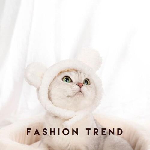 Super Cute Cat Headgear Dog Headgear Hat Birthday Dress Up Headdress Plush Funny Cute Rabbit Ears Pet Supplies Accessories