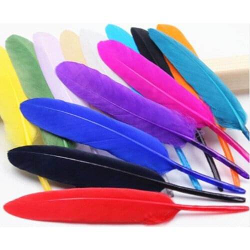 Frontlighting Decorative Feathers