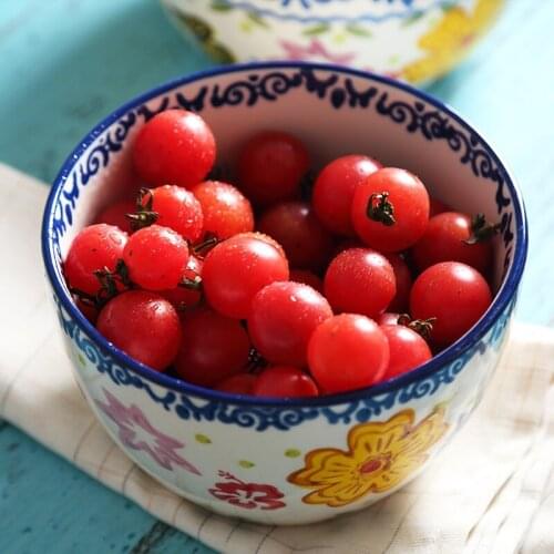 Ceramic Soup Rice Bowl Creative Hand-painted Tableware Underglazed Heng Feng Porcelain Soup Bowl Tableware Cookware