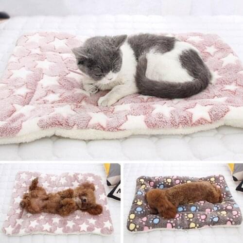 Winter Warm Dog Bed Soft Fleece Pet Blanket Cat Litter Puppy Sleep Mat Lovely Mattress Cushion For Small And Large Dogs