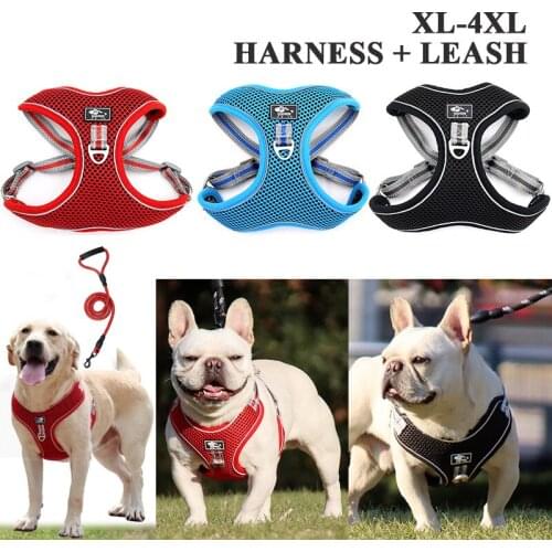 Big Dog Vest Harness Golden Retriever Reflective Harness and Leash Set Pet Outdoors Accessory Large Dog Summer Breathable Mesh