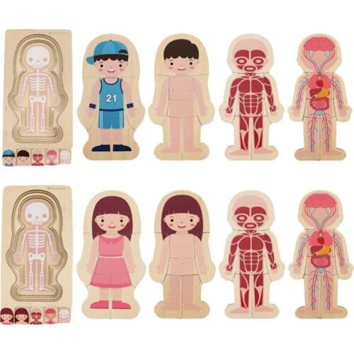 Kids Natural Science Human Body Structure Puzzle Toy Wooden Boy Girl Human Body Structure Cognitive Montessori Educational Toys