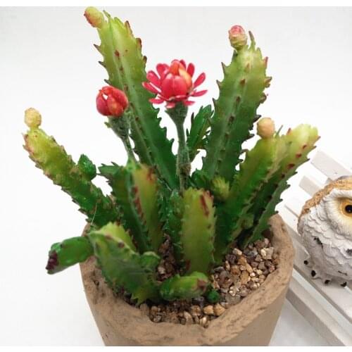 7pcs Cactus Flower Succulents Plants DIY Accessories Artificial Flowers Wedding Decor Home Christmas Decoration Craft