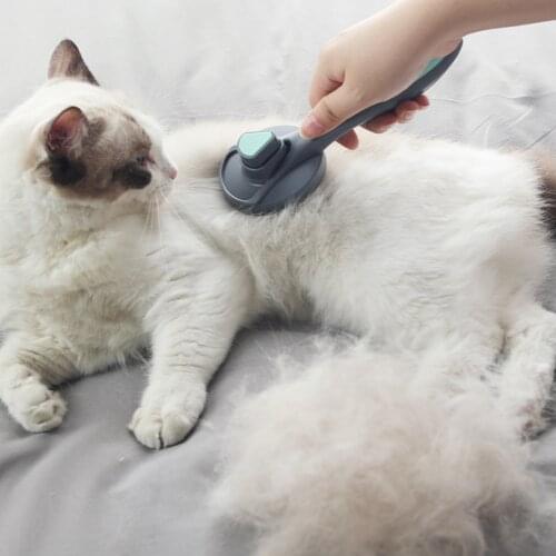 Winnereco Comb For Cats