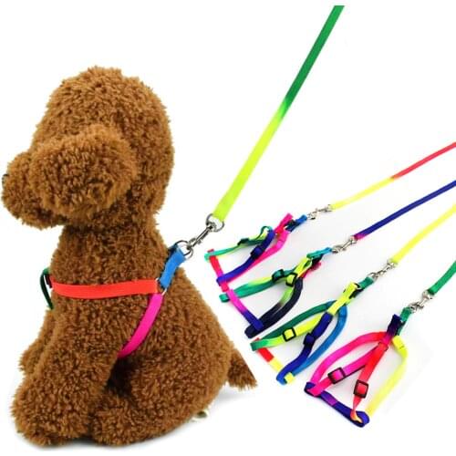Rainbow Pets Collar Retractable Colorful Dog Harnesses Leads Nylon Puppy Leashes Dogs Cats Daily Walking Durable Traction Rope
