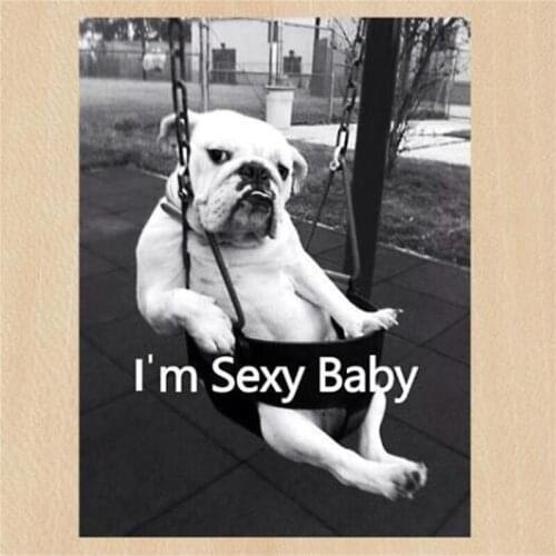 Biker patch Heat transfer printing Stickers Diy Women Clothes deal with it Dog I'm Sexy Baby Iron on patches for clothing Girl