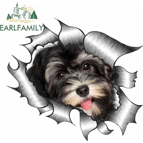 EARLFAMILY 13cm x 11.8cm Torn Metal Rip Design with Beautiful Havanese Pet Dog Puppy Motif External Vinyl Car Sticker
