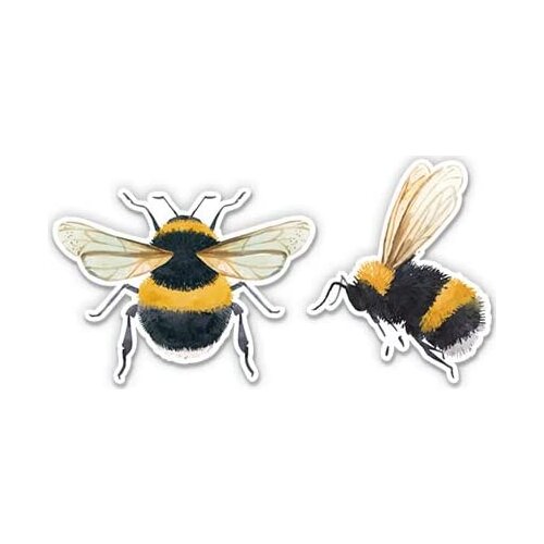 Express Bumblebees - 2" Each Vinyl Stickers - for Car Laptop I-Pad Phone Helmet Hard Hat - Waterproof Decals